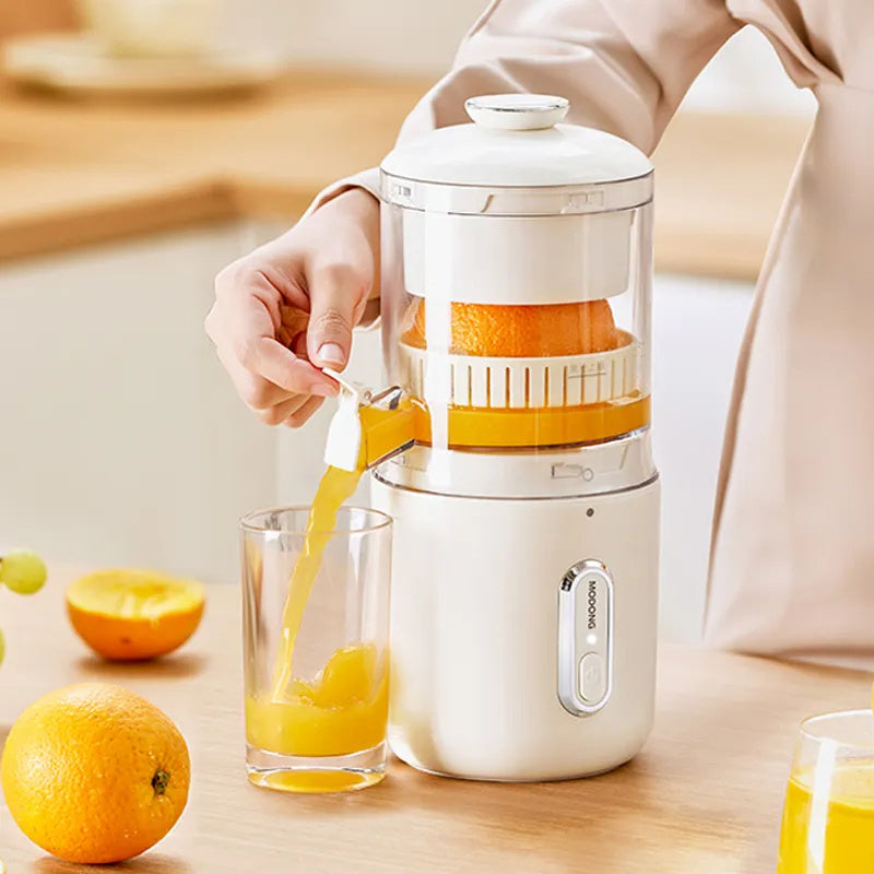 Electric juicer